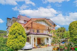 Hotel Misty Woods