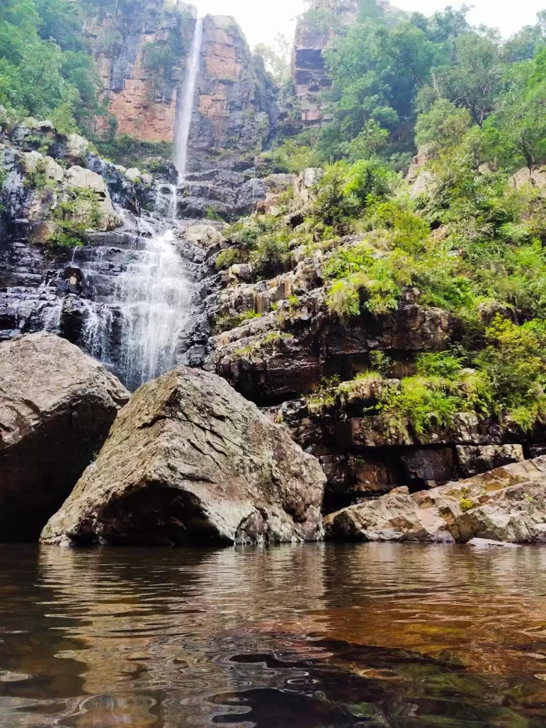 Talakona Waterfall: Discover Andhra Pradesh's Tallest Waterfall Near Tirupati