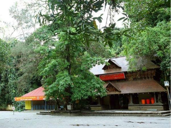 Mannarasala Sree Nagaraja Temple: Kerala's Sacred Serpent Shrine